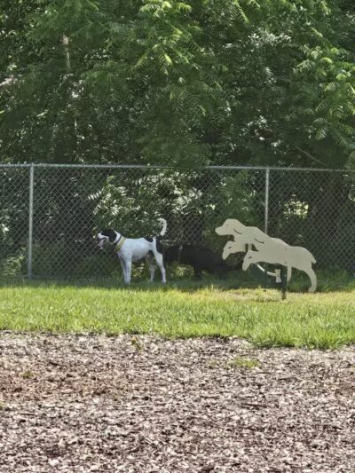 Bennett Cerf Park - Westminster, MD
