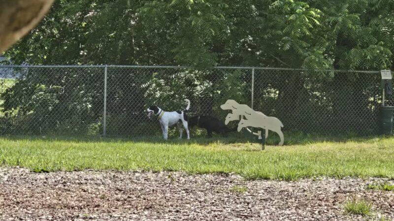 Bennett Cerf Park - Westminster, MD