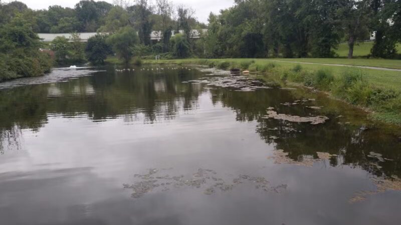 Bennett Cerf Park - Westminster, MD