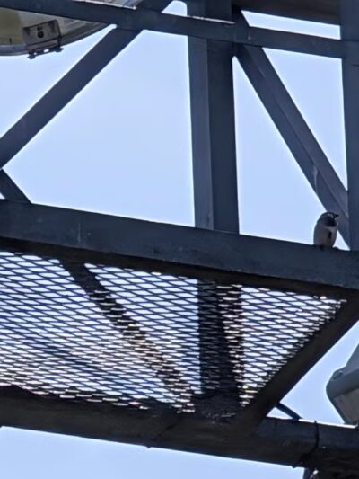 Deer Park - Westminster, MD