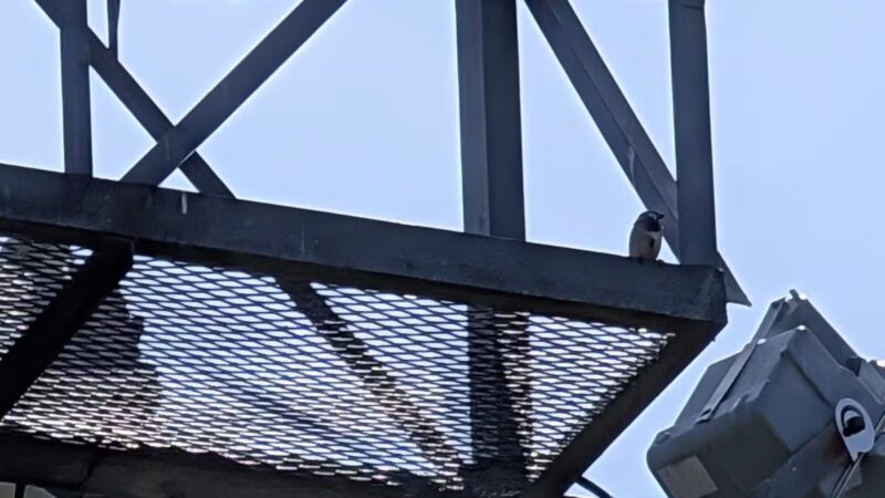 Deer Park - Westminster, MD