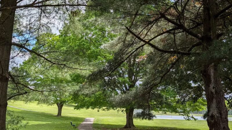 Deer Park - Westminster, MD