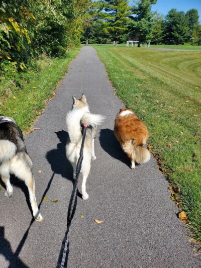 Deer Park - Westminster, MD