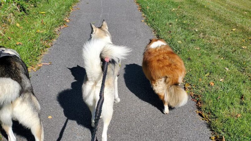 Deer Park - Westminster, MD