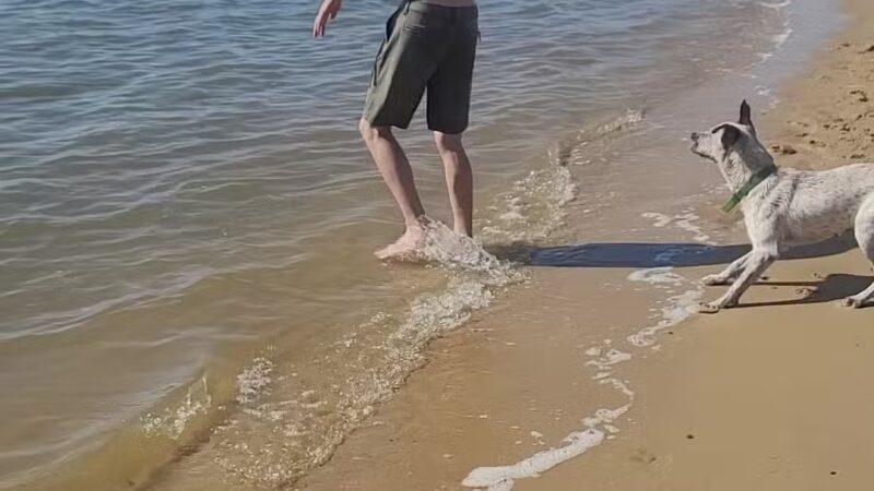 Raccoon Point Beach & Park - Westover, MD