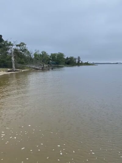 Raccoon Point Beach & Park - Westover, MD