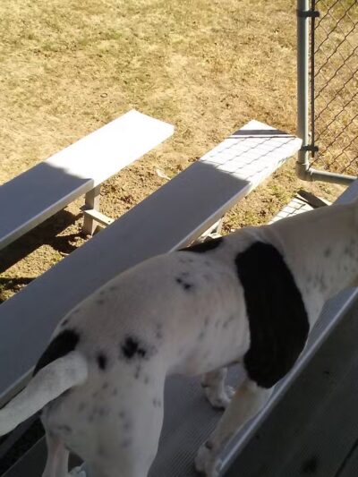 Somerset County Recreation and Parks - Westover, MD