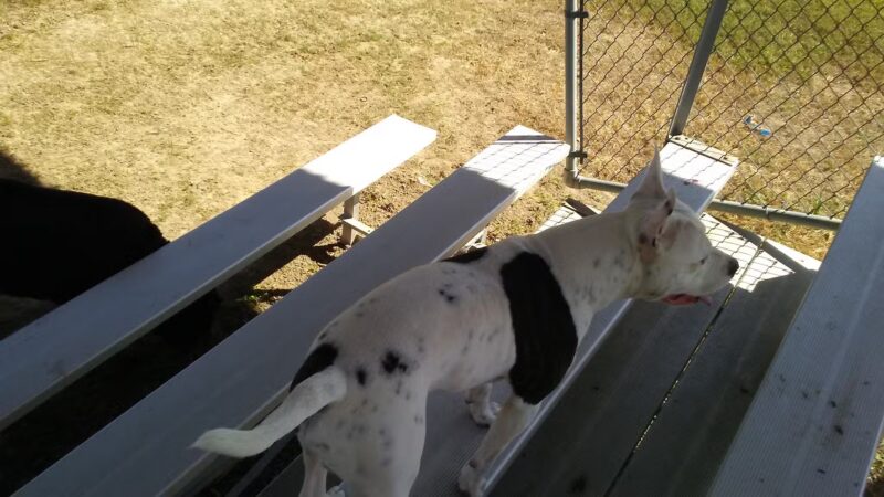 Somerset County Recreation and Parks - Westover, MD