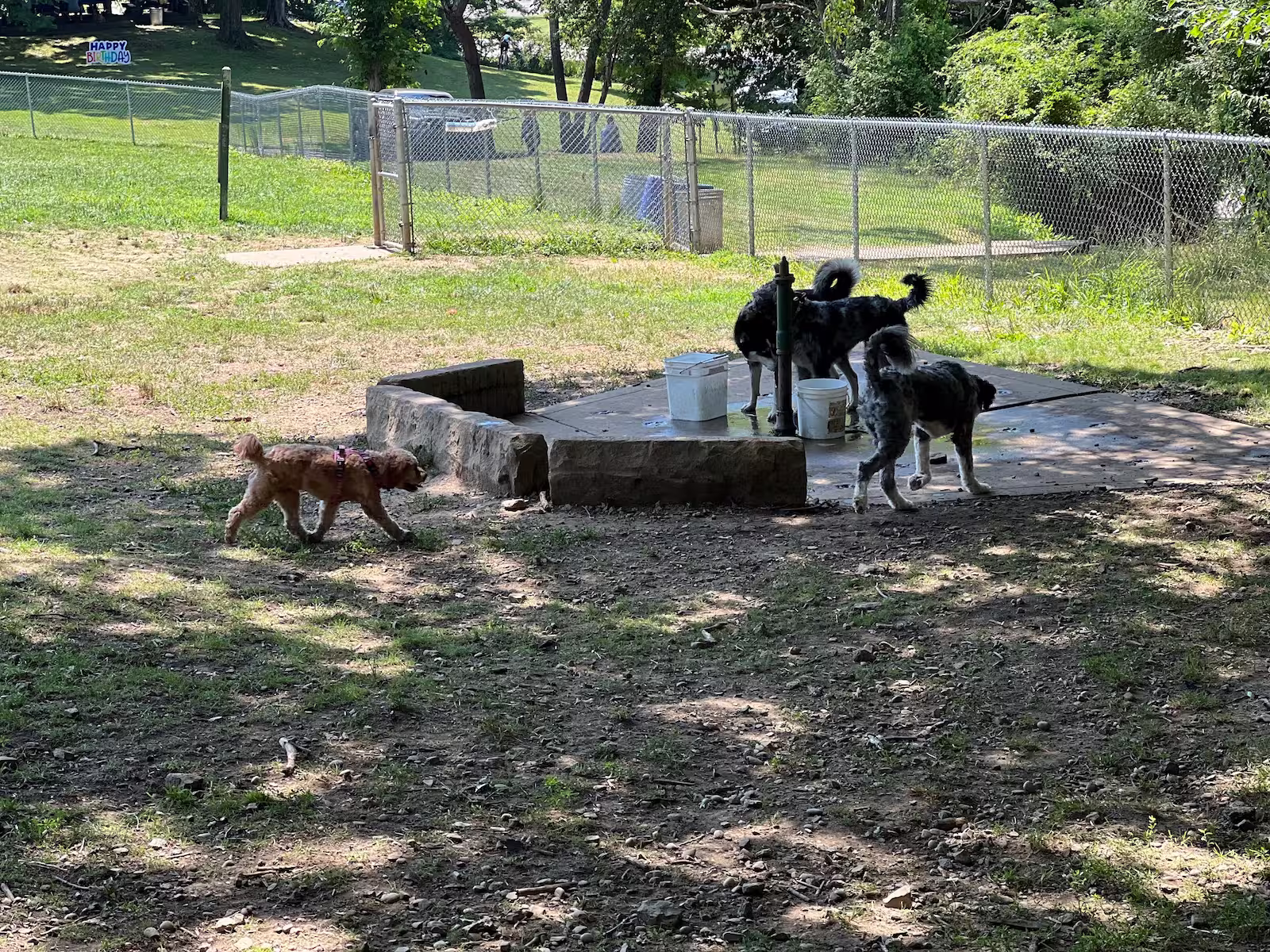 North Park Dog Park #2 - Wexford, PA