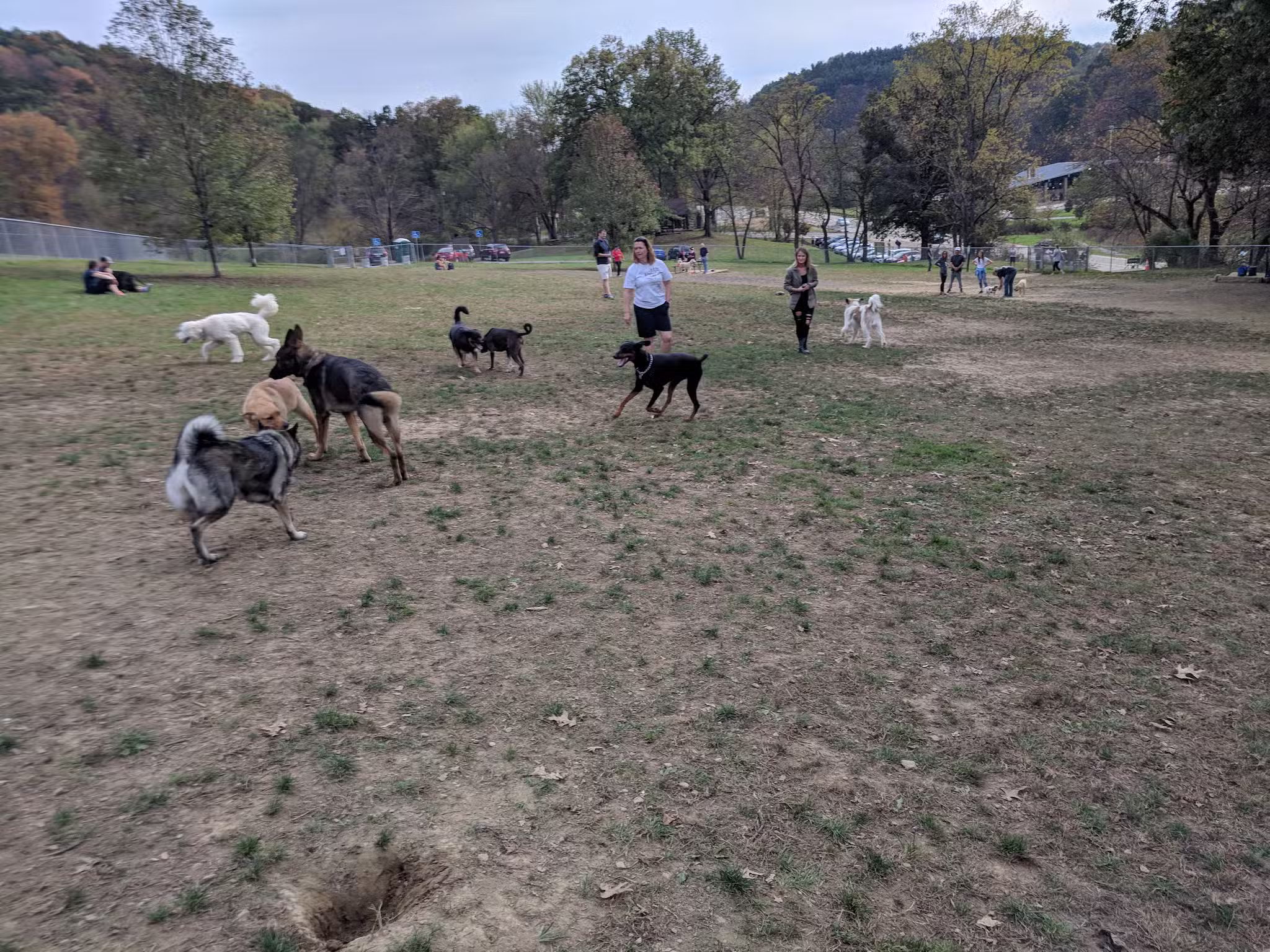 North Park Dog Park #2 - Wexford, PA