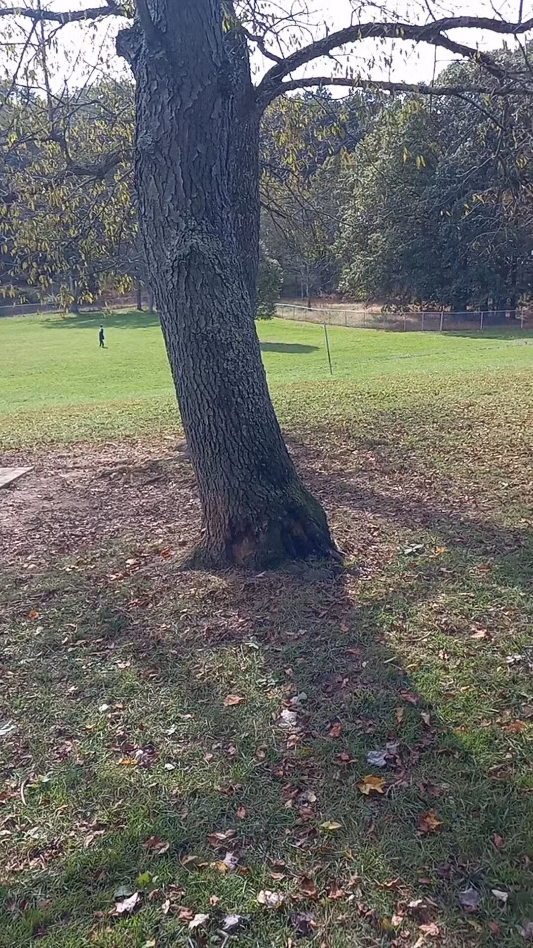 North Park Dog Park - Wexford, PA