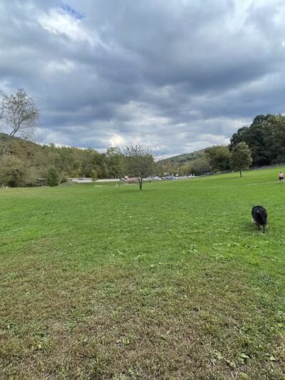 North Park Dog Park - Wexford, PA