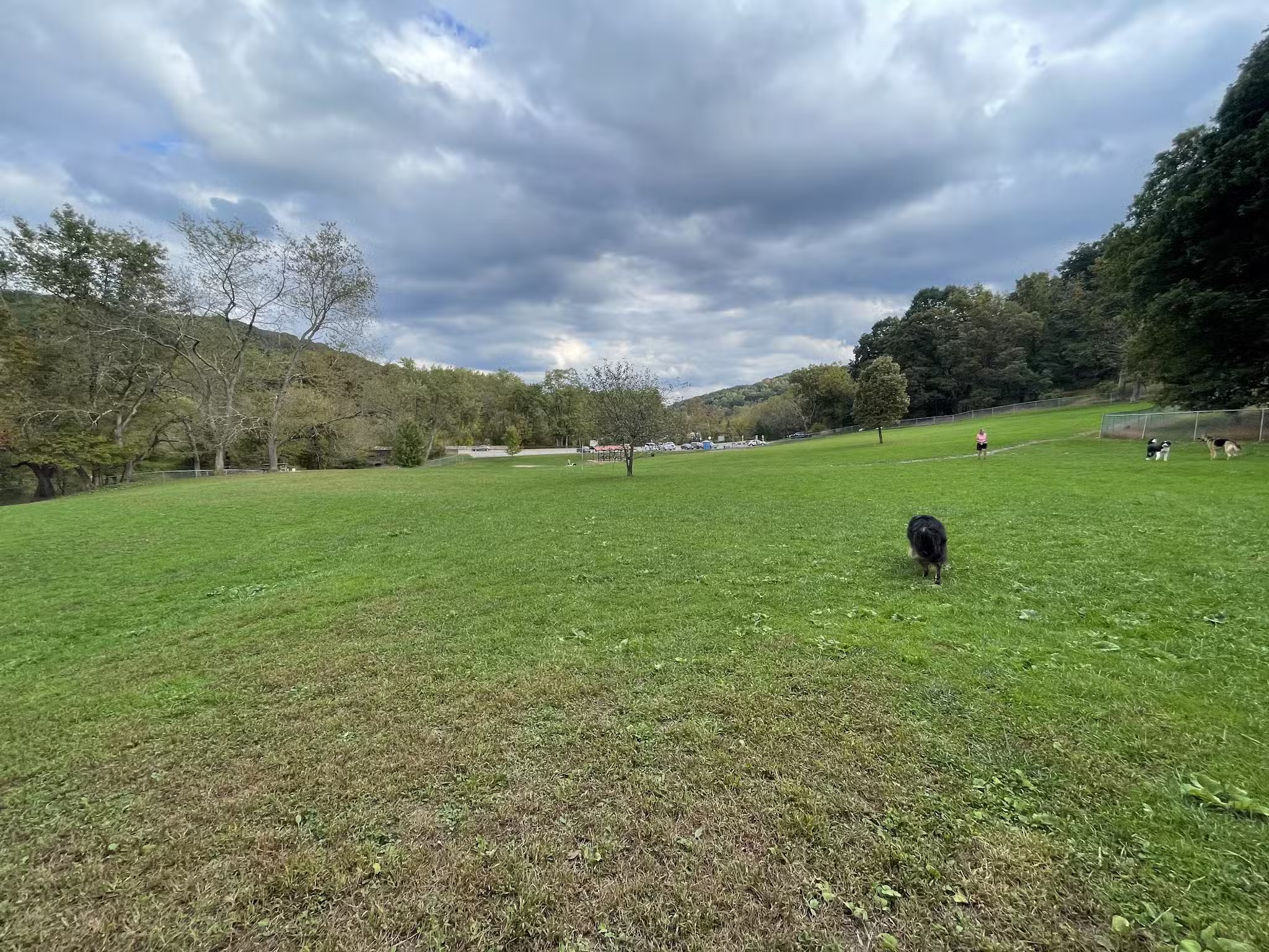 North Park Dog Park - Wexford, PA