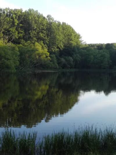 Dog Park in Wheaton Regional Park - Wheaton, MD
