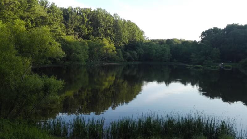 Dog Park in Wheaton Regional Park - Wheaton, MD