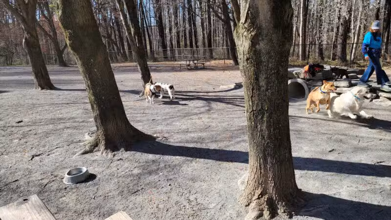 Dog Park in Wheaton Regional Park - Wheaton, MD