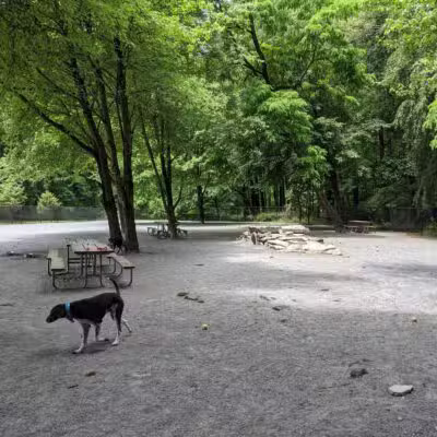 Dog Park in Wheaton Regional Park - Wheaton, MD