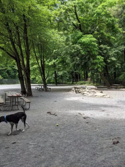 Dog Park in Wheaton Regional Park - Wheaton, MD