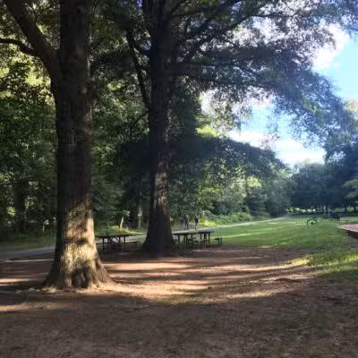 Forest Grove Neighborhood Park - Wheaton, MD