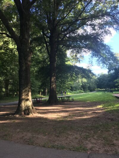 Forest Grove Neighborhood Park - Wheaton, MD