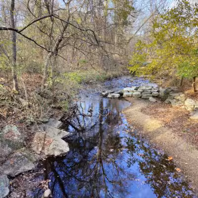 Forest Grove Neighborhood Park - Wheaton, MD