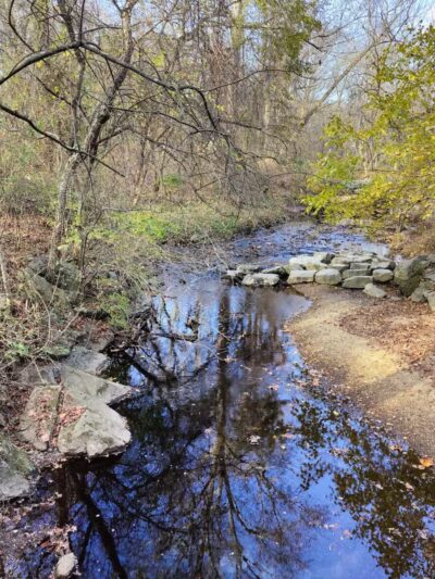 Forest Grove Neighborhood Park - Wheaton, MD