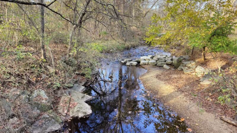 Forest Grove Neighborhood Park - Wheaton, MD