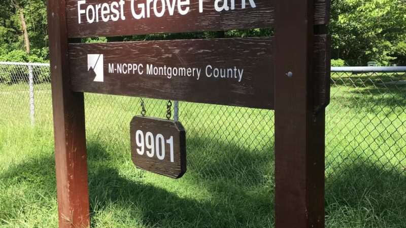 Forest Grove Neighborhood Park - Wheaton, MD