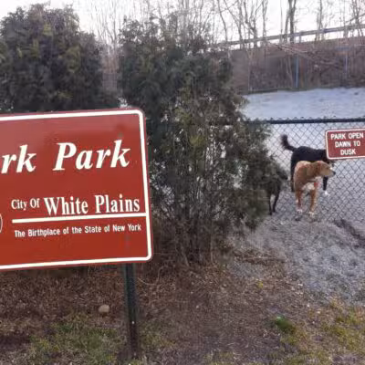 Bark Park - Off-Leash Dog Run for Members Only - White Plains, NY