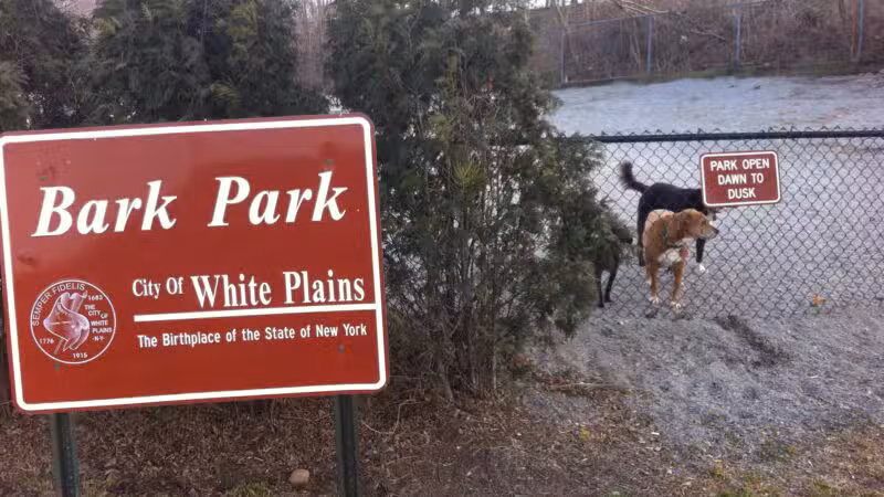 Bark Park - Off-Leash Dog Run for Members Only - White Plains, NY