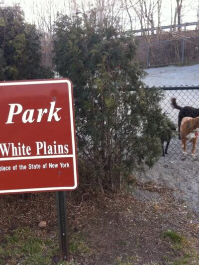 Bark Park - Off-Leash Dog Run for Members Only - White Plains, NY