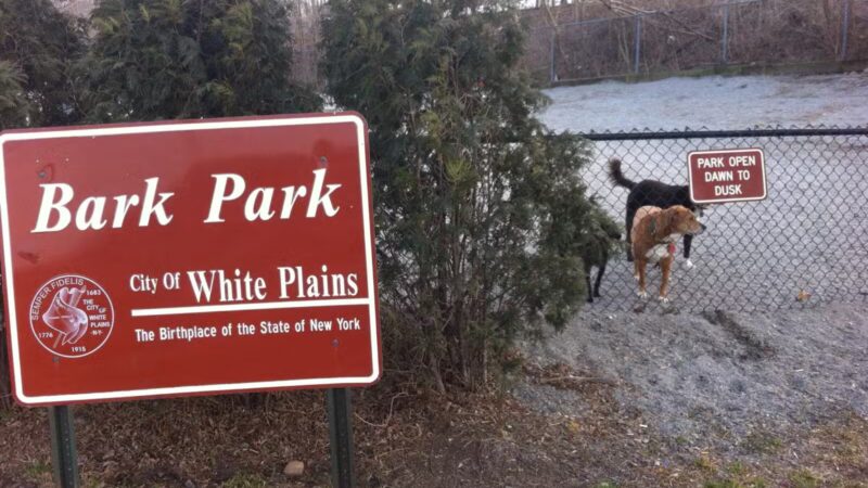 Bark Park - Off-Leash Dog Run for Members Only - White Plains, NY