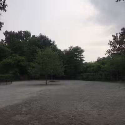 Bark Park - Off-Leash Dog Run for Members Only - White Plains, NY