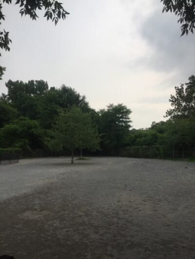 Bark Park - Off-Leash Dog Run for Members Only - White Plains, NY