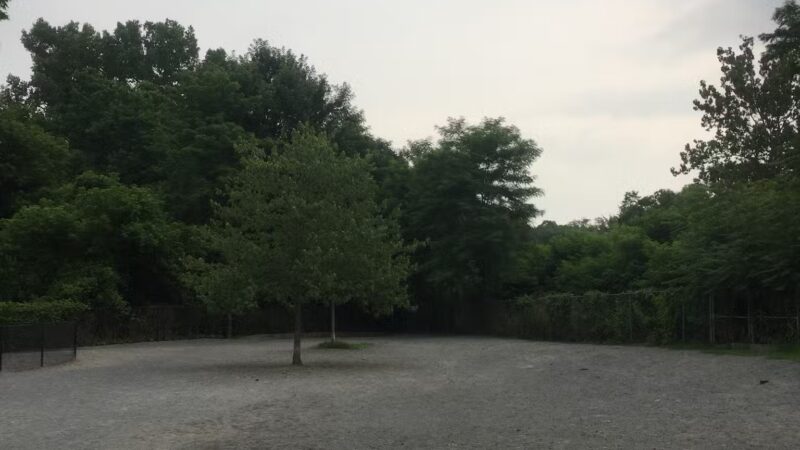 Bark Park - Off-Leash Dog Run for Members Only - White Plains, NY