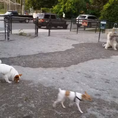 Bark Park - Off-Leash Dog Run for Members Only - White Plains, NY