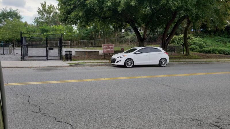 Bark Park - Off-Leash Dog Run for Members Only - White Plains, NY