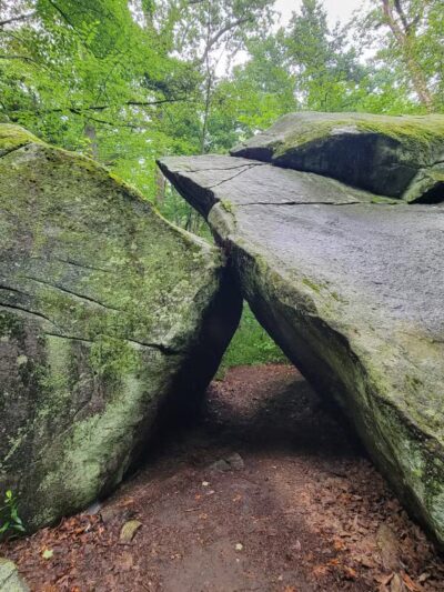 Saxon Woods Park - White Plains, NY