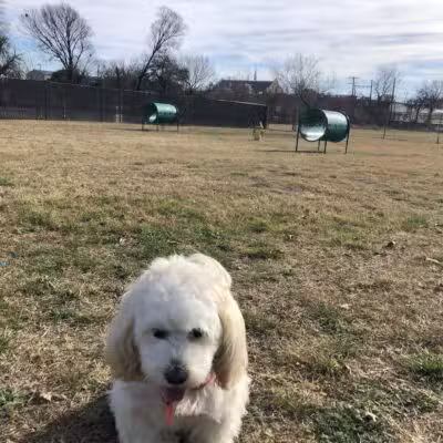 Cherry Lane Dog Park - White Settlement, TX
