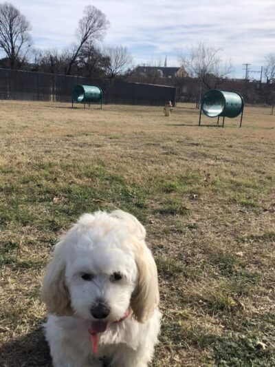 Cherry Lane Dog Park - White Settlement, TX