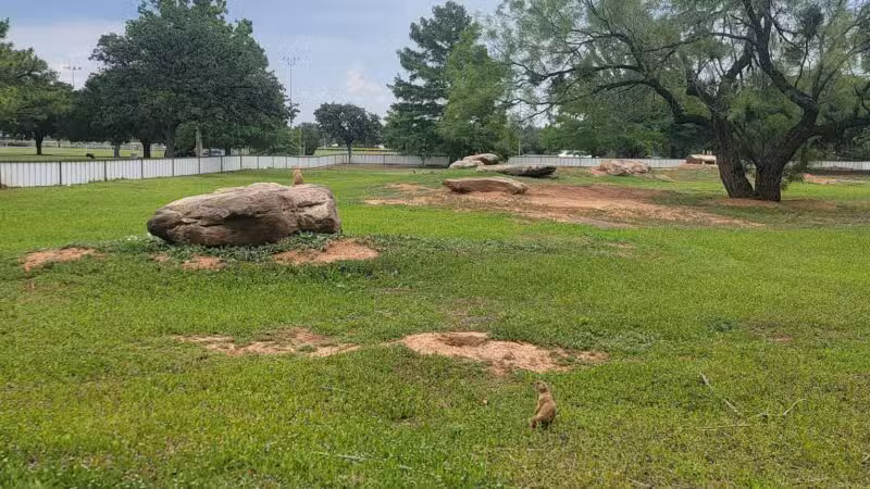 Kiwanis Park - Wichita Falls, TX