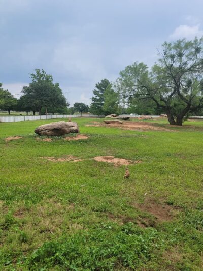 Kiwanis Park - Wichita Falls, TX
