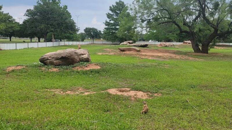 Kiwanis Park - Wichita Falls, TX