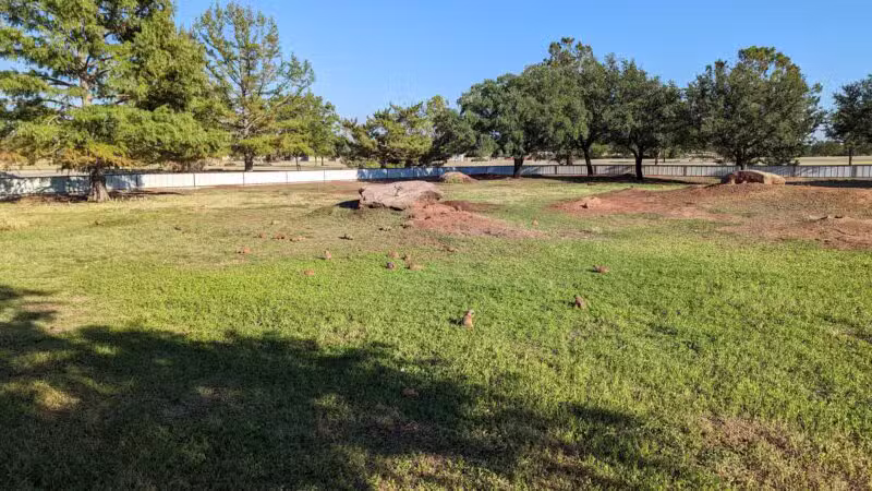 Kiwanis Park - Wichita Falls, TX