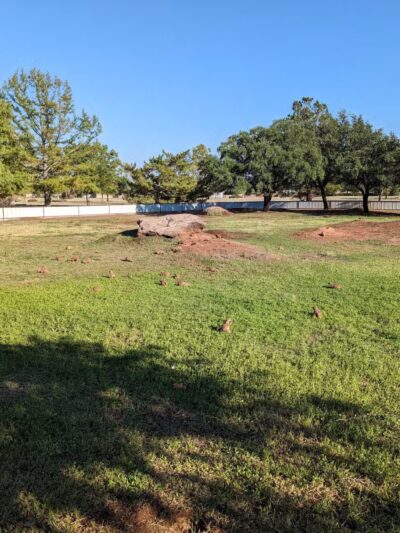 Kiwanis Park - Wichita Falls, TX