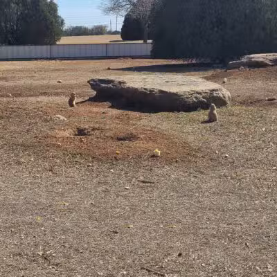 Kiwanis Park - Wichita Falls, TX