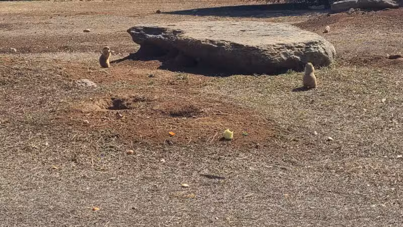 Kiwanis Park - Wichita Falls, TX
