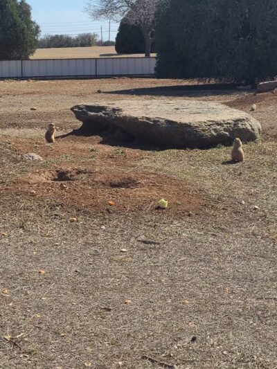 Kiwanis Park - Wichita Falls, TX