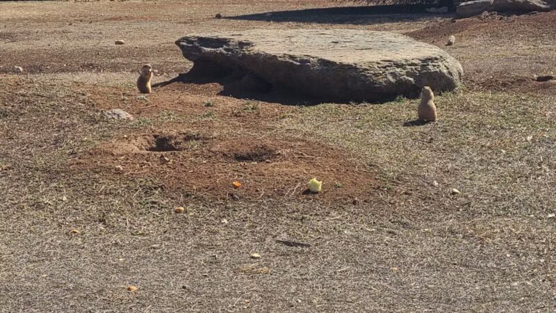 Kiwanis Park - Wichita Falls, TX