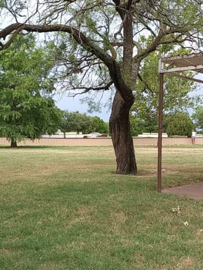 Kiwanis Park - Wichita Falls, TX